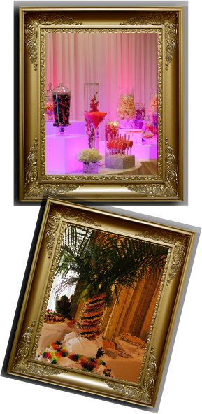 Reception Hall Packages